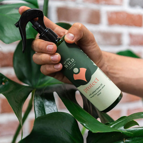 hand holding Bottle of 'We the Wild' Protect Organic Plant Spray with Neem Oil spray bottle  with plants in background 250ml