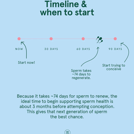 Diagram showing a timeline for sperm regeneration and conception on a light blue background.