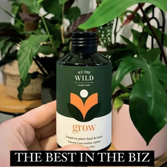Hand holding a bottle labeled 'We the Wild' Grow Concentrate Organic Liquid Plant Food with plants in the background