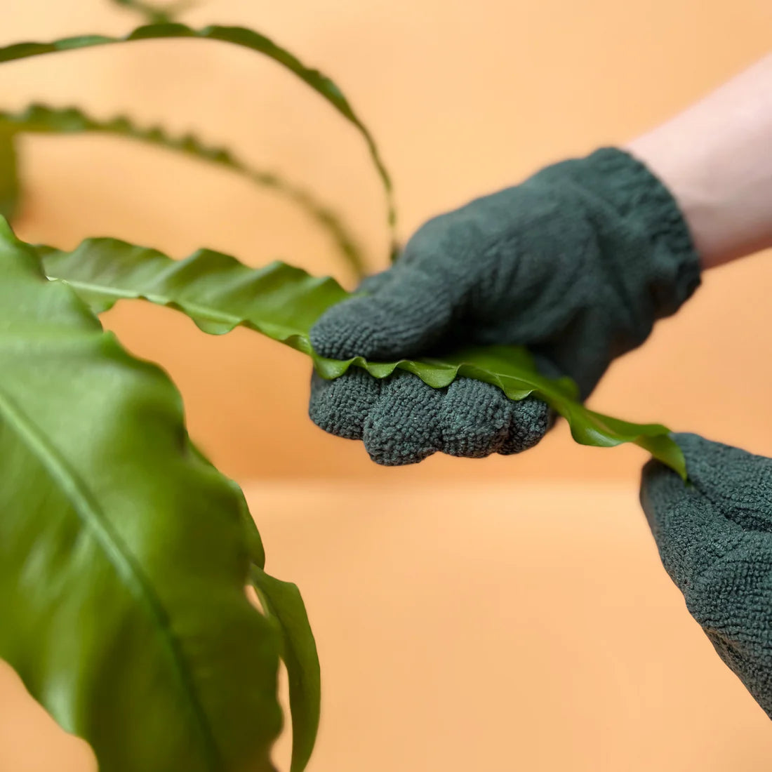 Person wearing green gardening gloves holding a leaf against a beige background