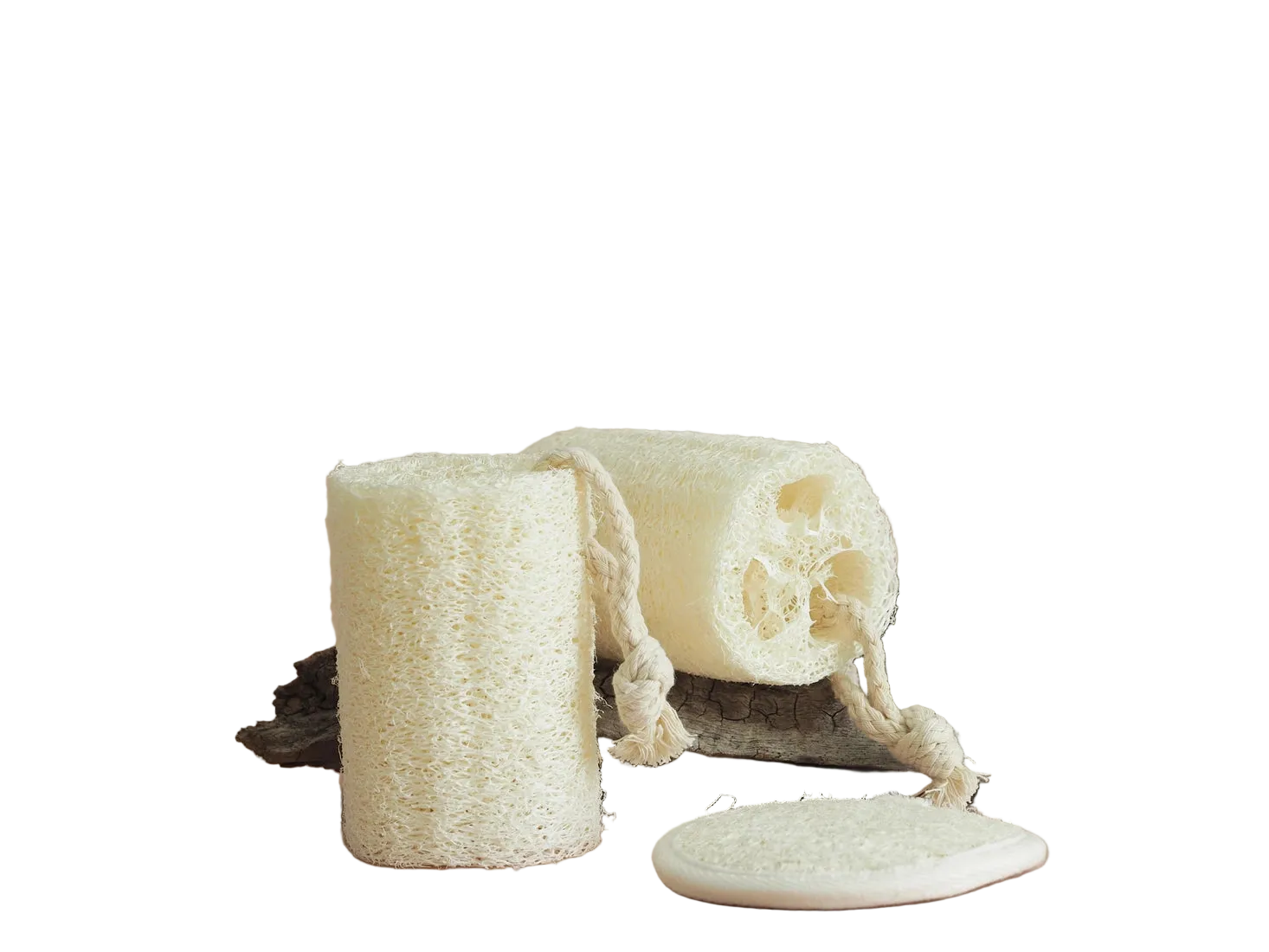 Two natural sponges and a loofah on a log