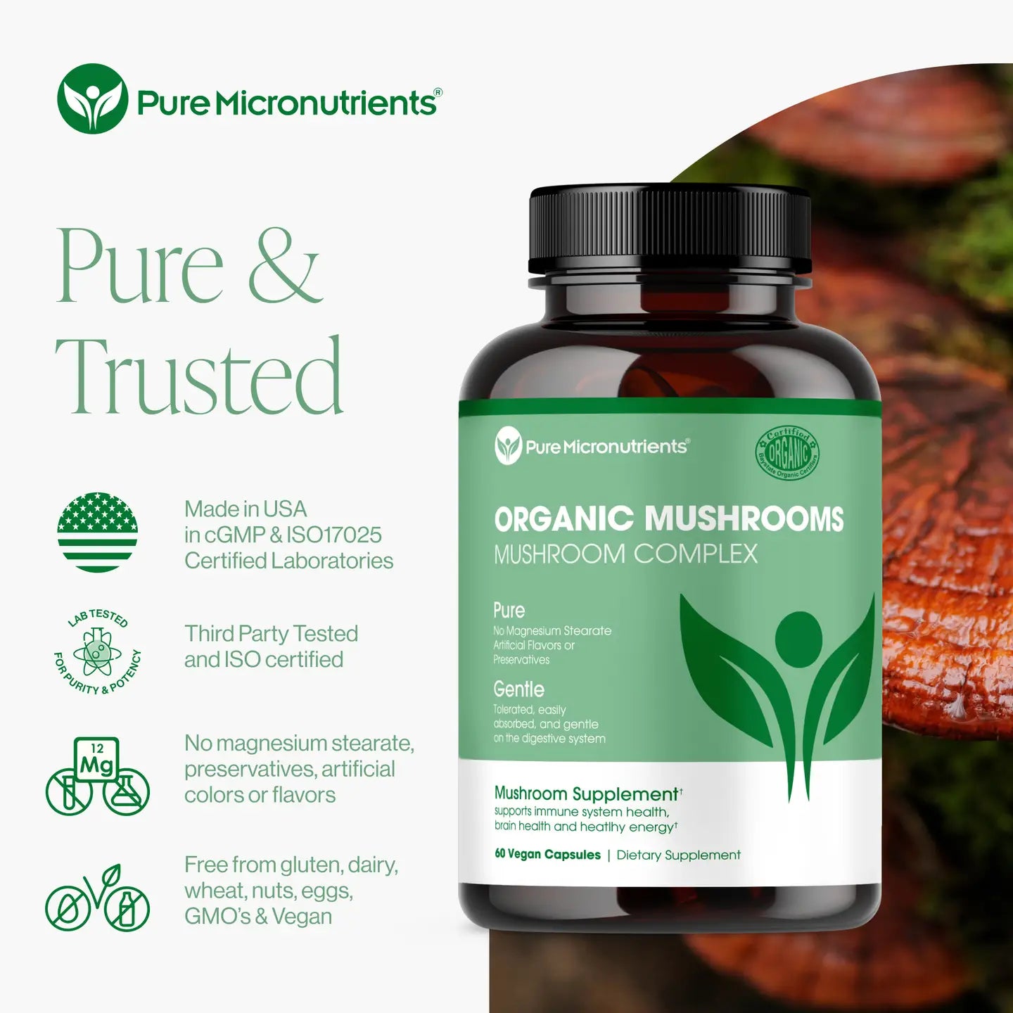 Supplement bottle labeled 'Organic Mushrooms' by Pure Micronutrients with branding and product details. No magnesium stearate, preservatives, artificial colors or flavors. Free from gluten, dairy, wheat, nuts, eggs, GMO's & vegan.