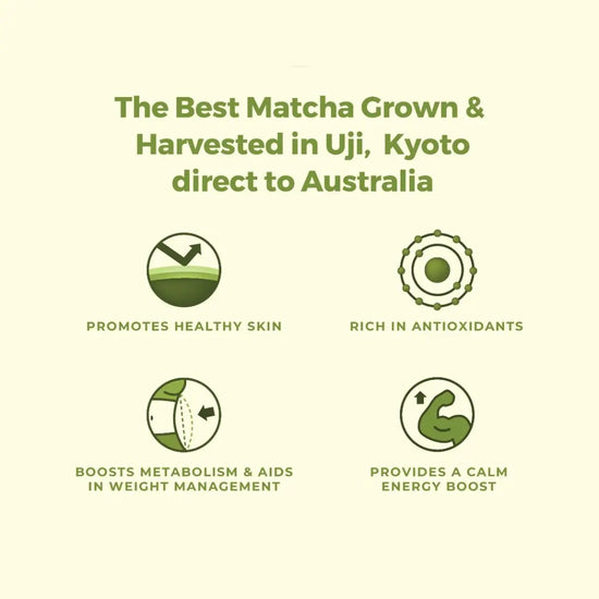 Promotional graphic about matcha grown in Uji, Kyoto, with icons and text on a light green background.
The best matcha grown & harvested in uji, kyoto direct to australia. Promotes healthy skin. Rich in antioxidants. Boosts metabolism & aids in weight management. Provides a calm energy boost.