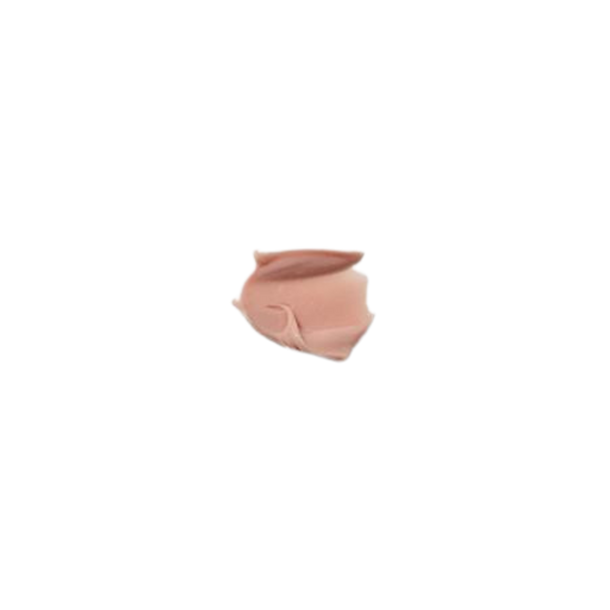 Brownish light pink makeup swatch called petal