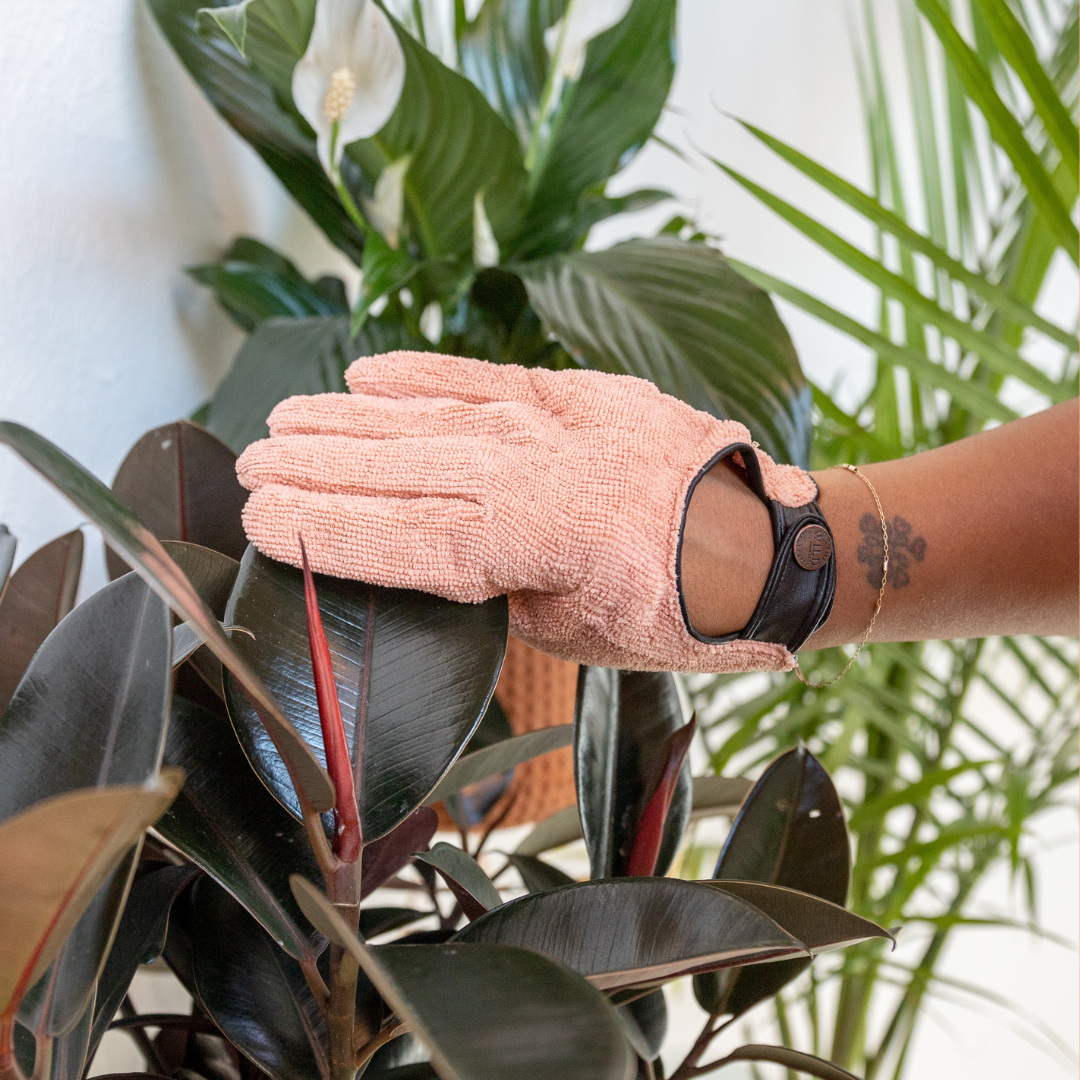 Person wearing a pink we the wild nicrofibre gardening glove with a plant in the background