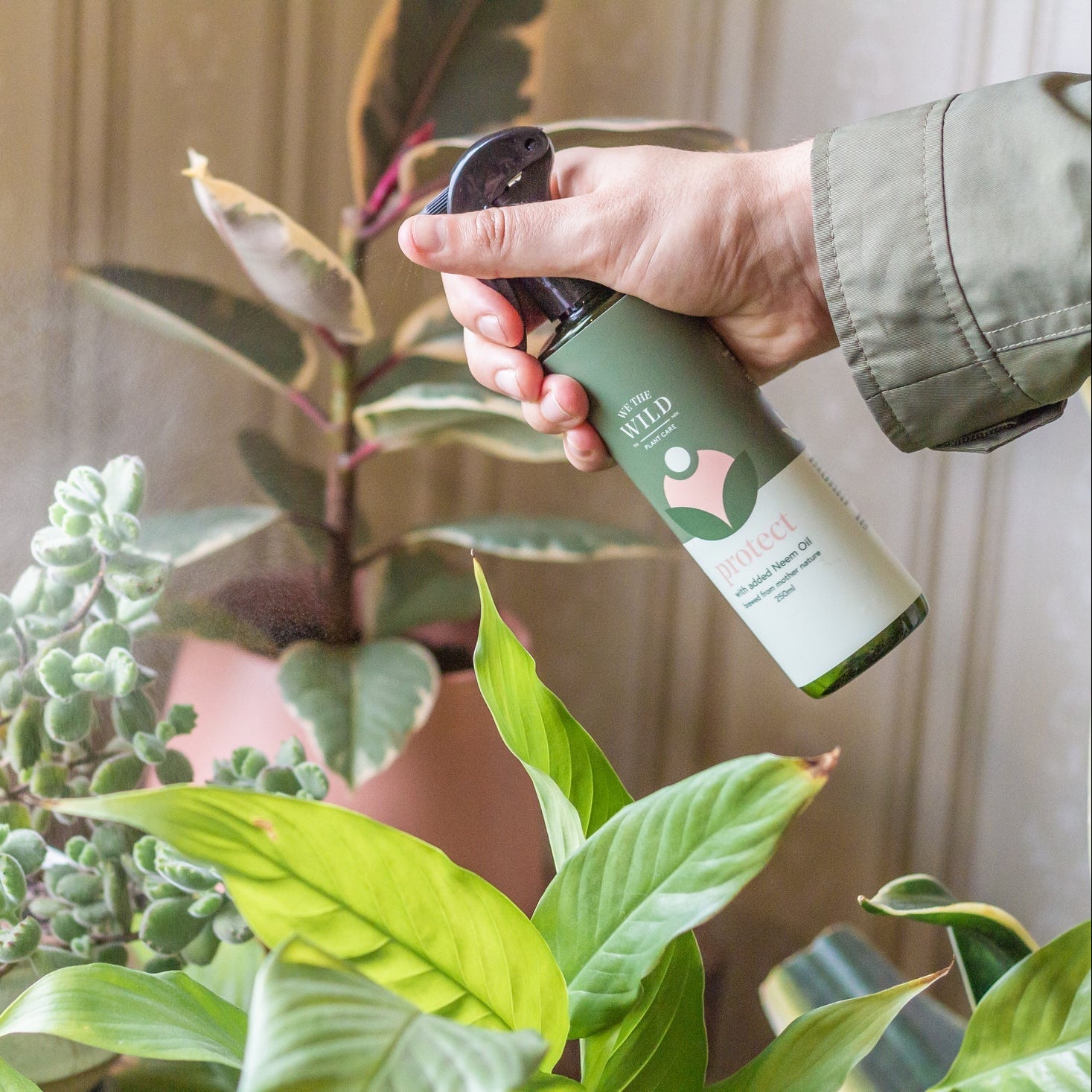 Person holding a plant care product we the wild with plants in the background