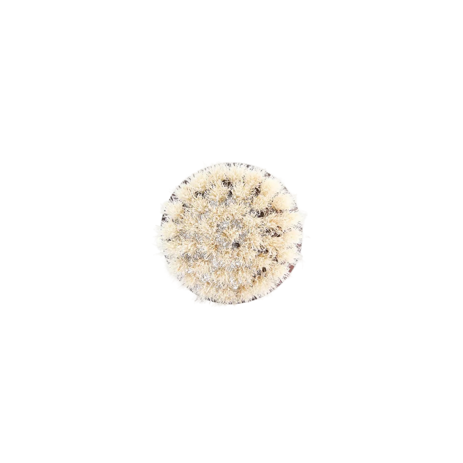 Round white mens face brush with black speckles