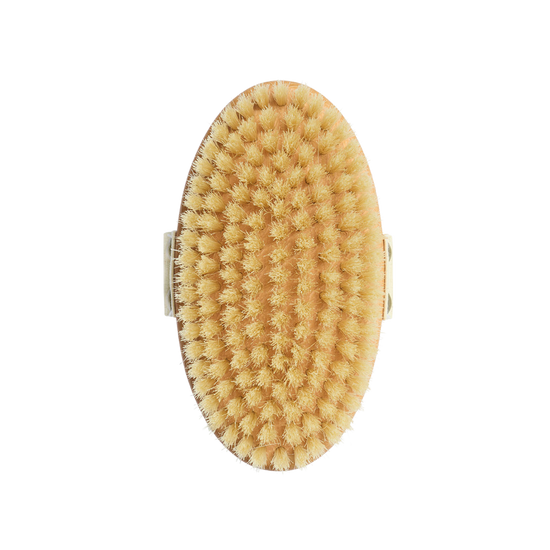 Body brush for skin firming with boar bristles