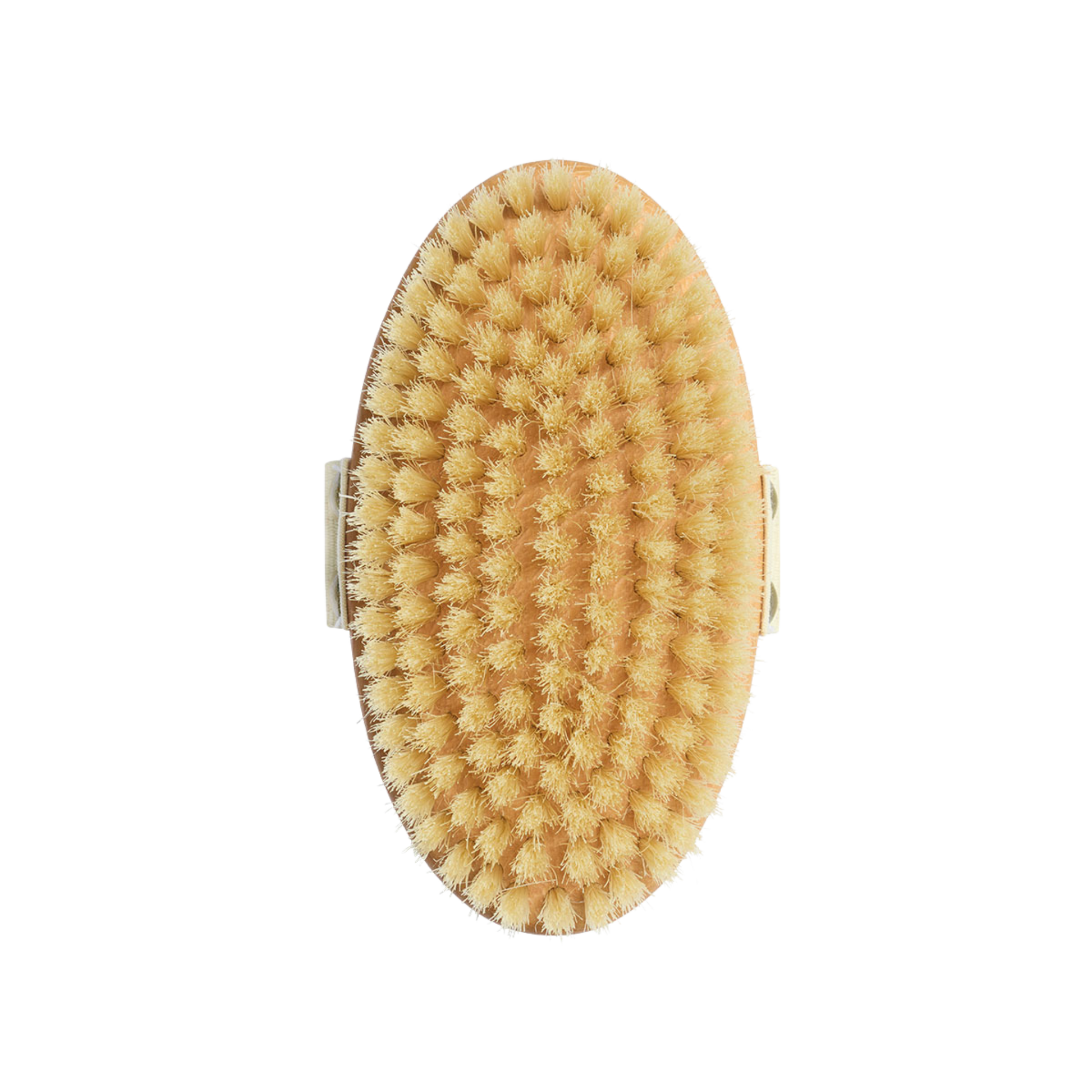 Body brush for skin firming with boar bristles