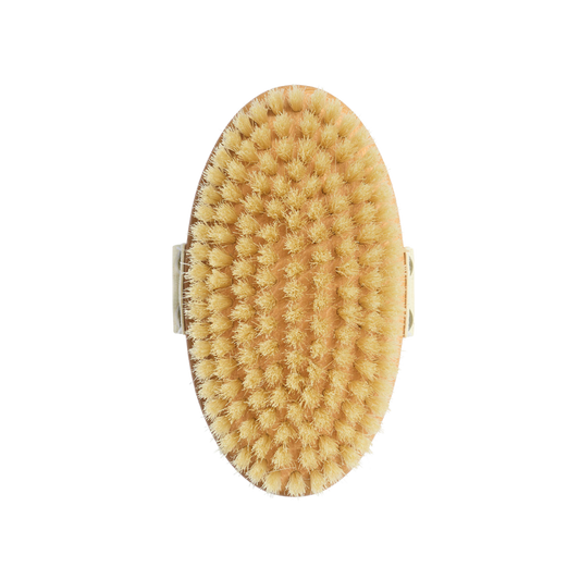 Body brush for skin firming with boar bristles