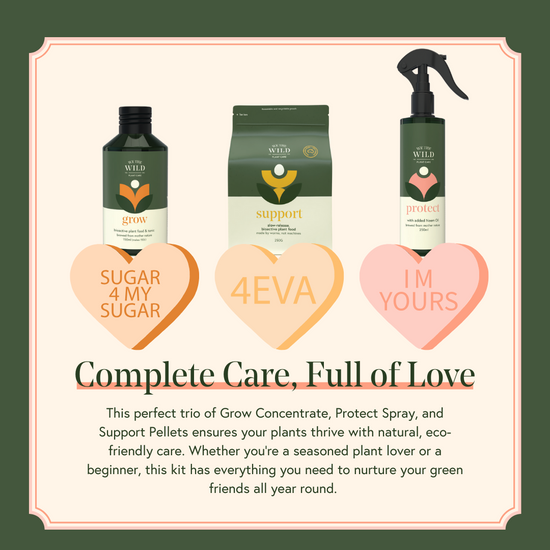 With all Three plant care products with heart-shaped labels on a green background. Grow, support and protect.