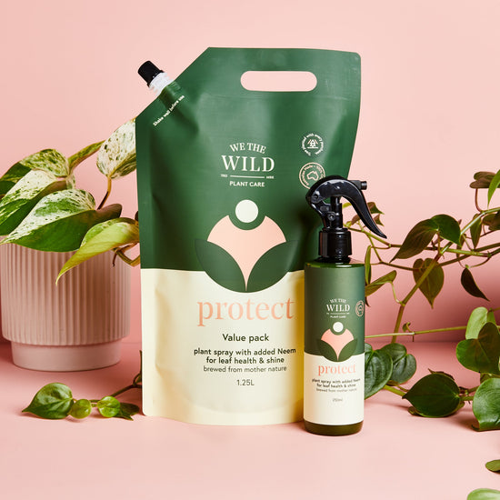 We The Wild plant care products on a pink background with plants. Protect 1.25l bag protect 250ml spray bottle.