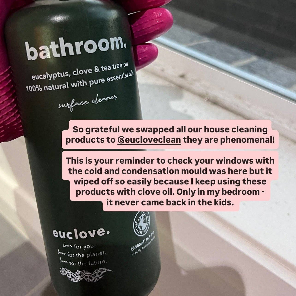 Bottle of euclove bathroom cleaner with pink gloves holding it, used for cleaning windows.