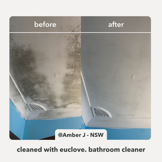 Before and after comparison of a bathroom exhaust fan cleaned with Euclove bathroom cleaner.