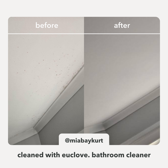 Before and after comparison of a bathroom surface cleaned with Euclove bathroom cleaner.