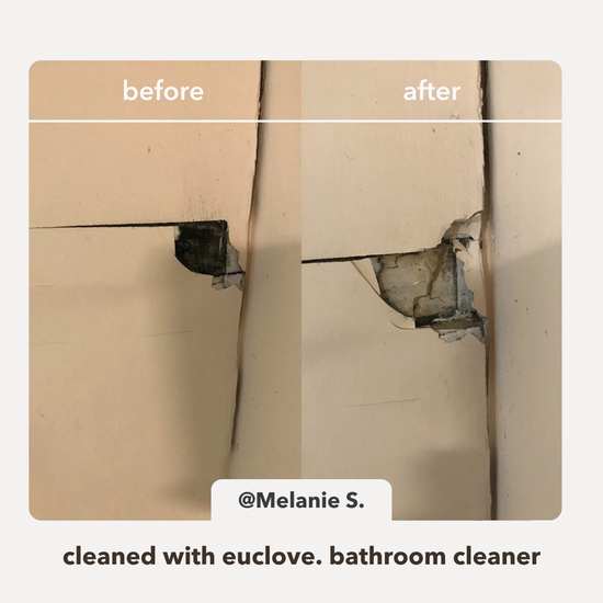 Before and after comparison of a bathroom corner cleaned with Euclidean bathroom cleaner.
