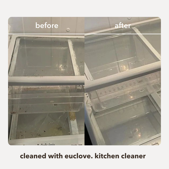 Before and after comparison of a refrigerator cleaned with Euclidean kitchen cleaner.