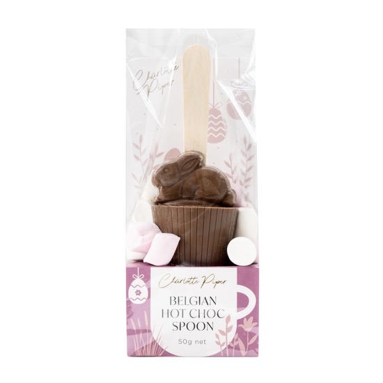 Chocolate-themed hot chocolate spoon in packaging 