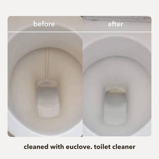 Before and after comparison of a toilet cleaned with Euclove toilet cleaner.