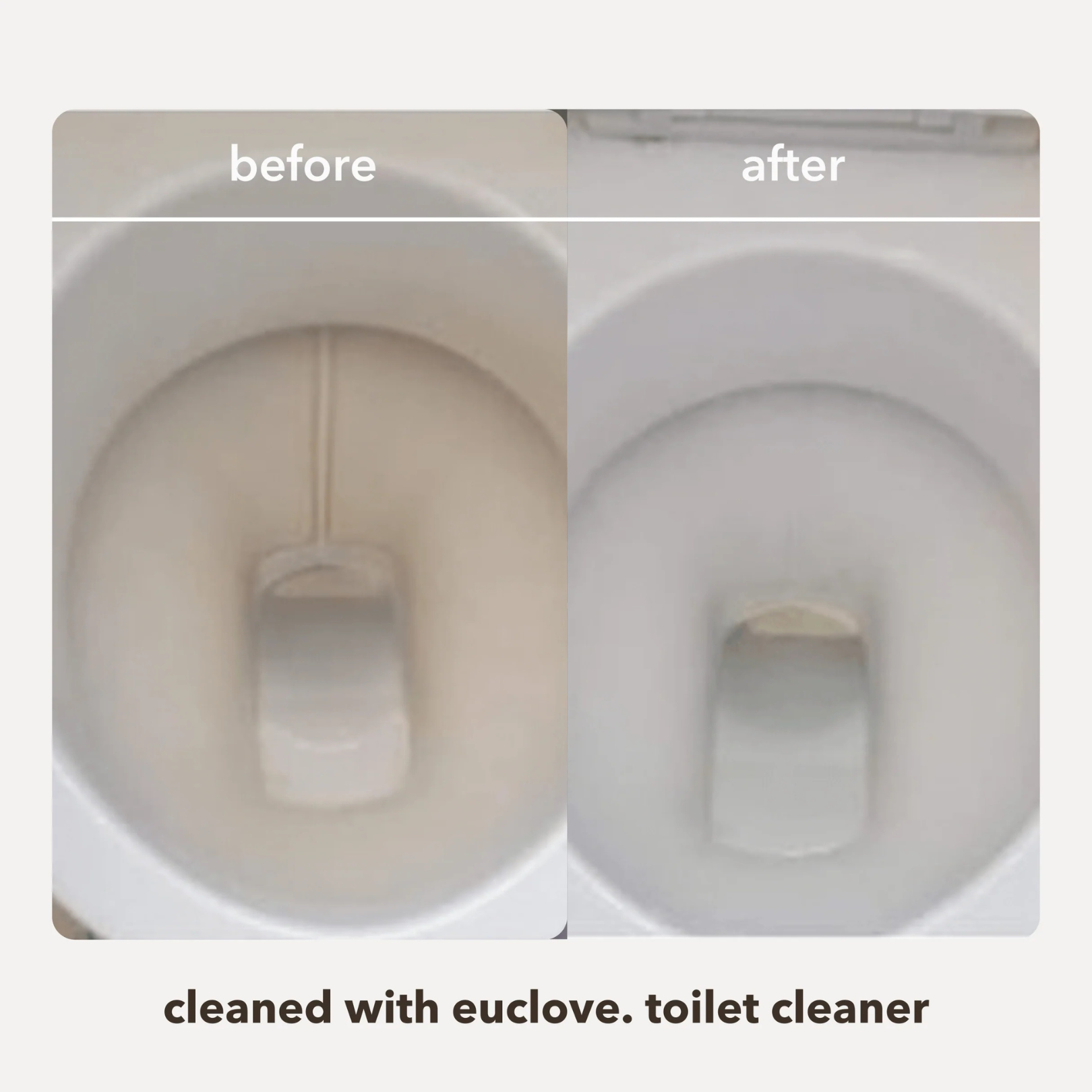 Before and after comparison of a toilet cleaned with Euclove toilet cleaner.